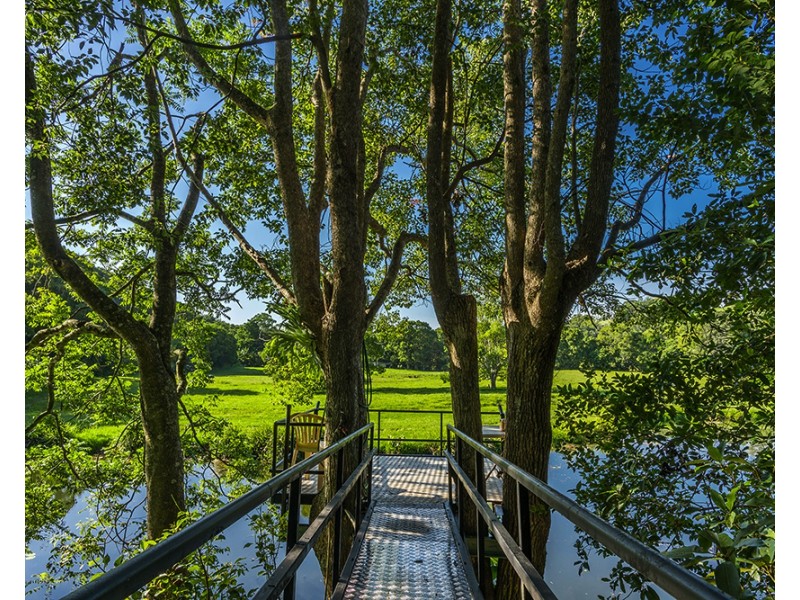 137 Friday Hut Rd, Tintenbar NSW 2478