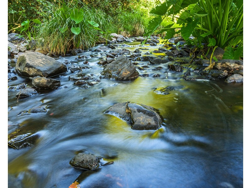 137 Friday Hut Rd, Tintenbar NSW 2478