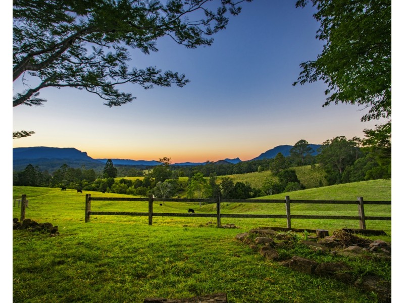 119 Stanger Rd, Stony Chute NSW 2480