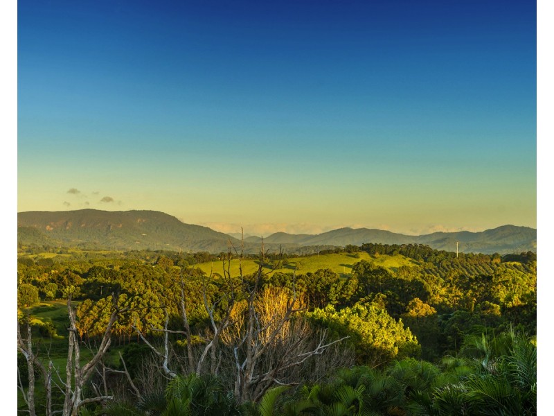 49 Figtree Lane, Myocum NSW 2481