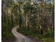 99 Koonyum Range Road, Wilsons Creek NSW 2482