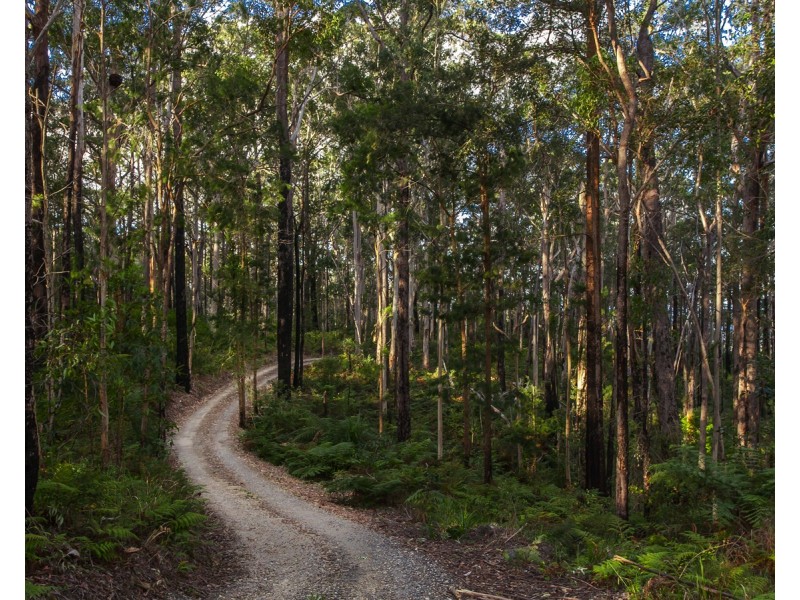 99 Koonyum Range Road, Wilsons Creek NSW 2482