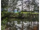 99 Koonyum Range Road, Wilsons Creek NSW 2482