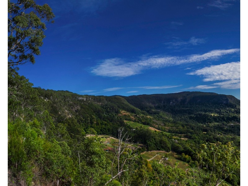 99 Koonyum Range Road, Wilsons Creek NSW 2482