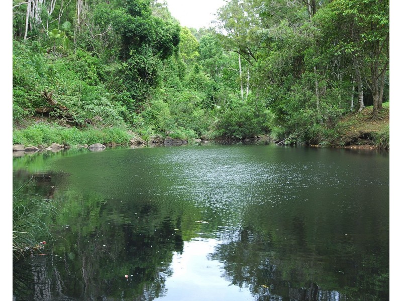 753 Wilsons Creek Rd, Wilsons Creek NSW 2482