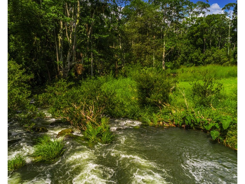 753 Wilsons Creek Rd, Wilsons Creek NSW 2482