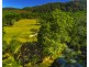 753 Wilsons Creek Rd, Wilsons Creek NSW 2482