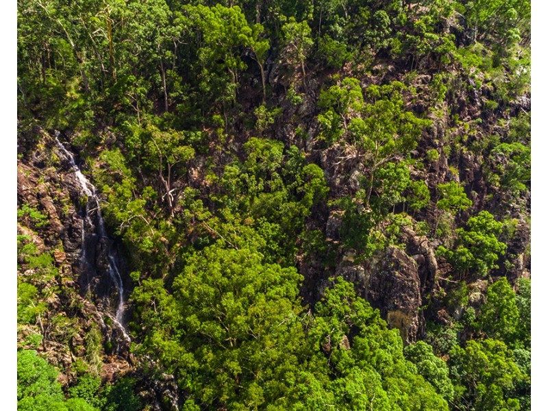 753 Wilsons Creek Rd, Wilsons Creek NSW 2482