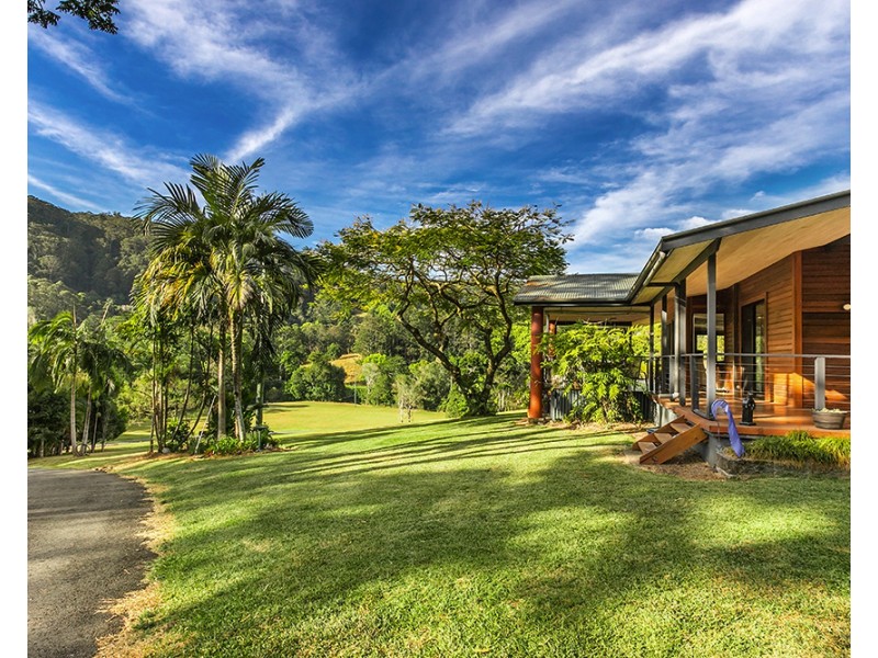 753 Wilsons Creek Rd, Wilsons Creek NSW 2482