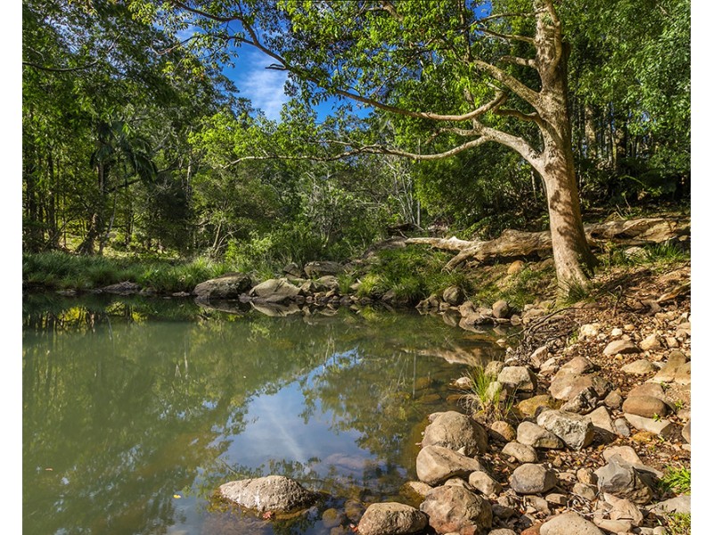 753 Wilsons Creek Rd, Wilsons Creek NSW 2482