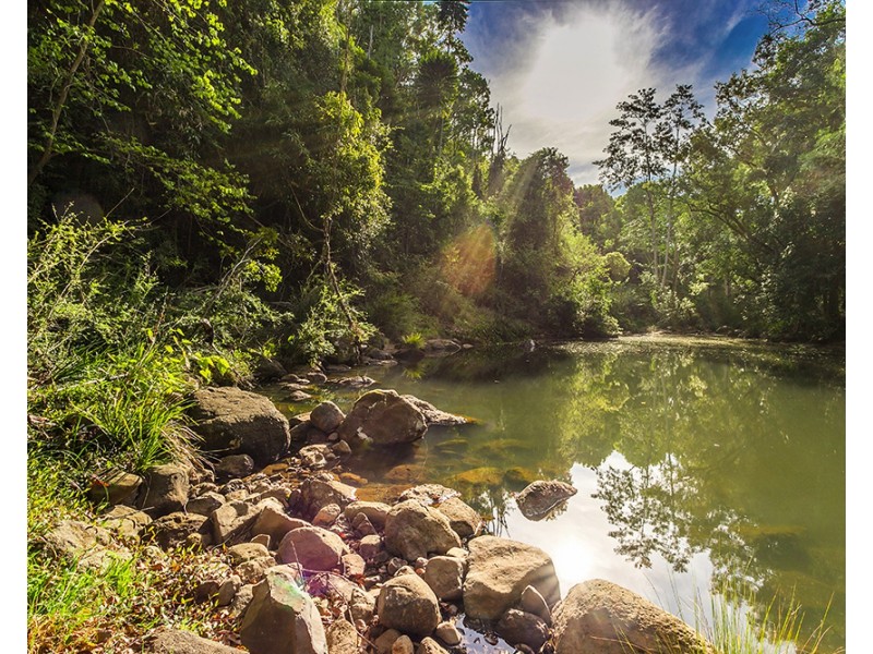 753 Wilsons Creek Rd, Wilsons Creek NSW 2482