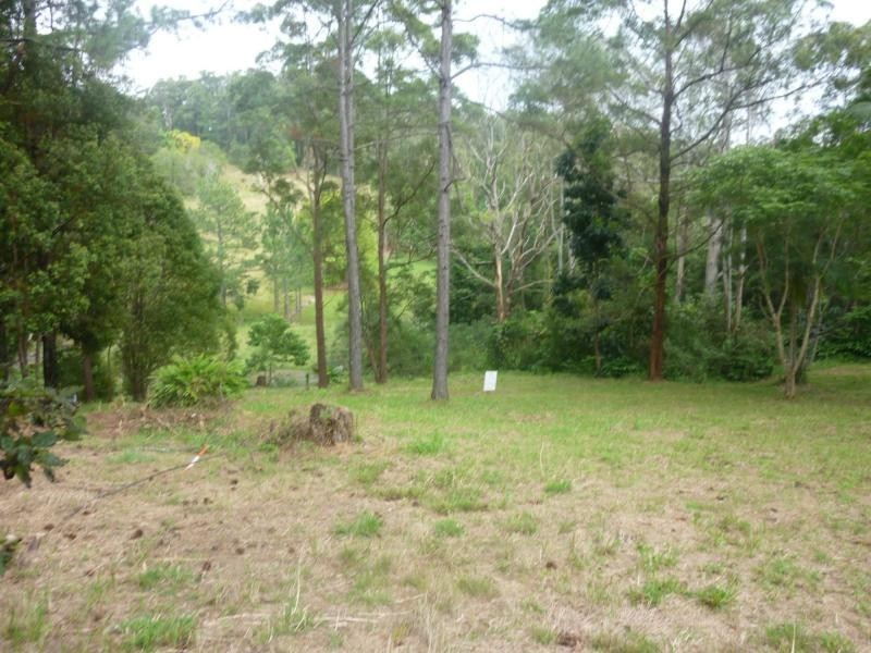 Eumundi QLD 4562