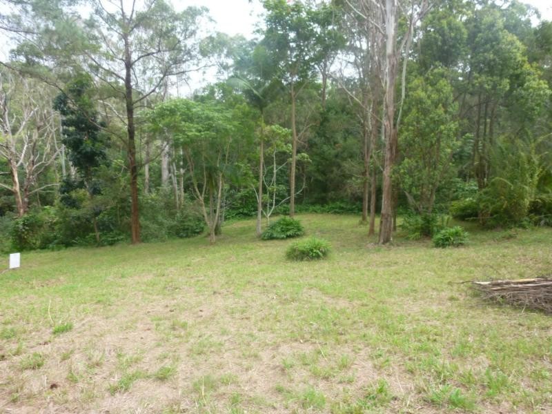 Eumundi QLD 4562
