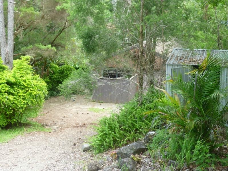 Eumundi QLD 4562