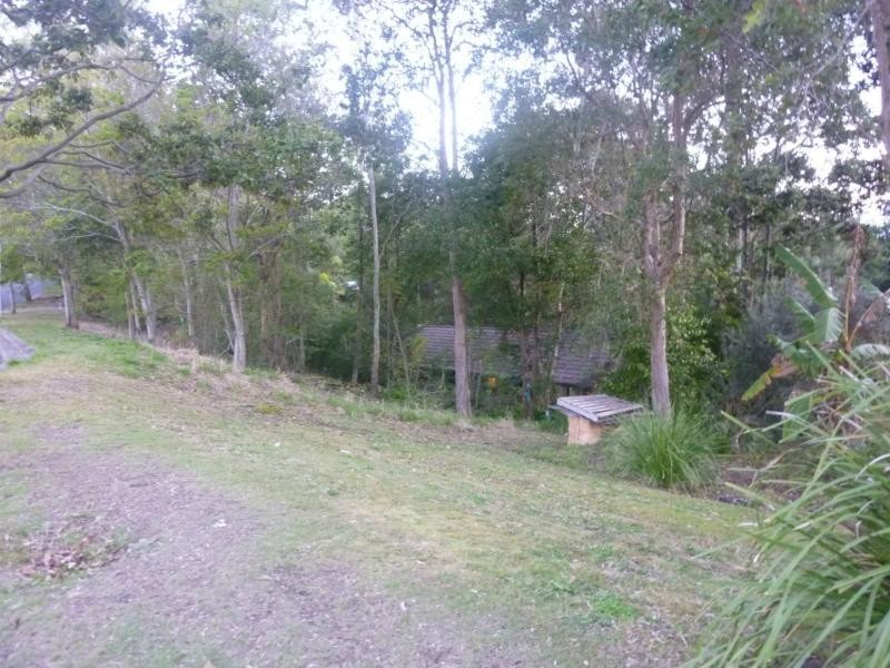 Eumundi QLD 4562