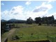 Eumundi QLD 4562