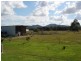 Eumundi QLD 4562