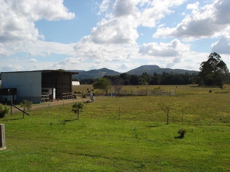 Eumundi QLD 4562