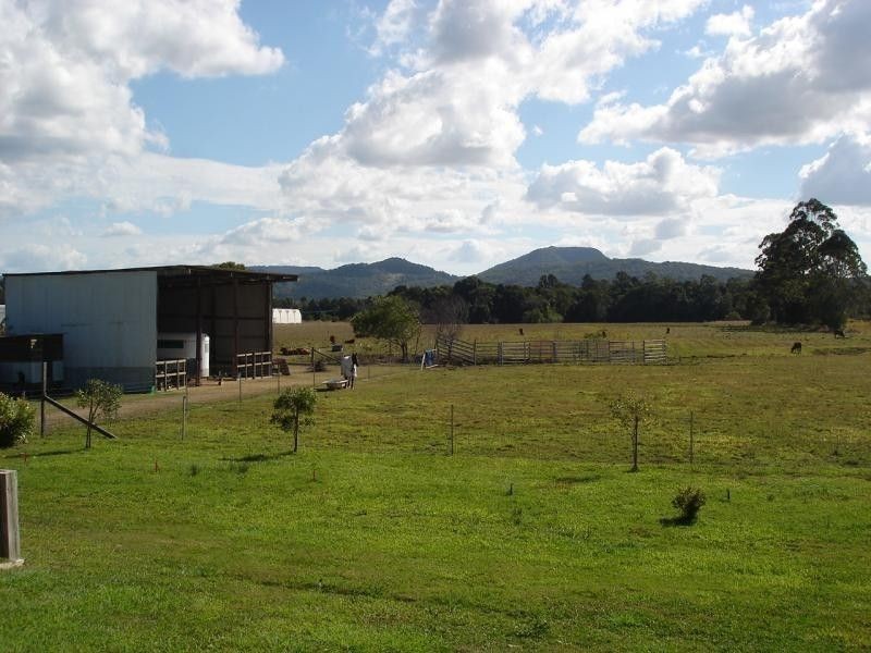 Eumundi QLD 4562