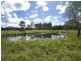 Eumundi QLD 4562