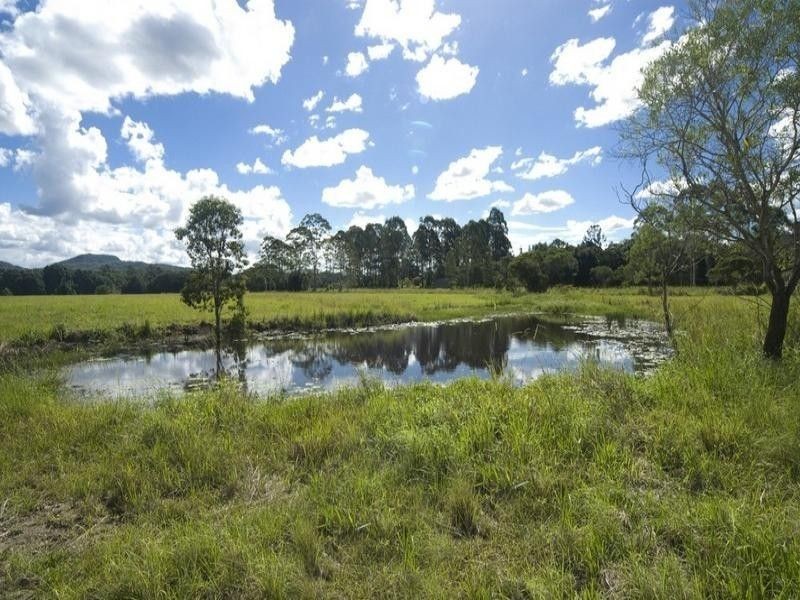 Eumundi QLD 4562