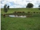 Gundiah QLD 4650