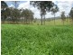 Gundiah QLD 4650