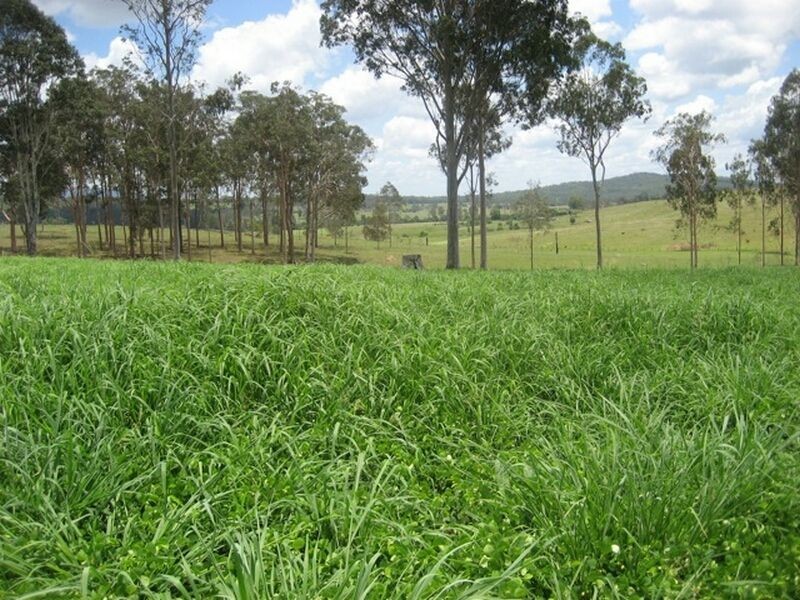 Gundiah QLD 4650