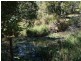 Cooroy QLD 4563