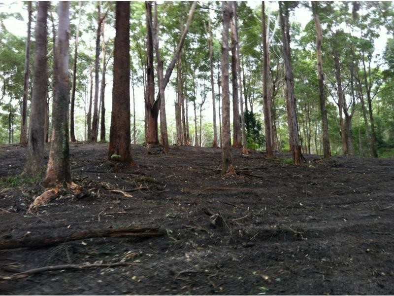 Verrierdale QLD 4562