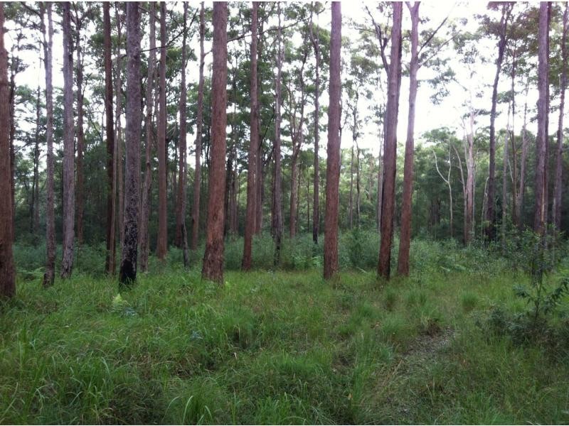 Verrierdale QLD 4562