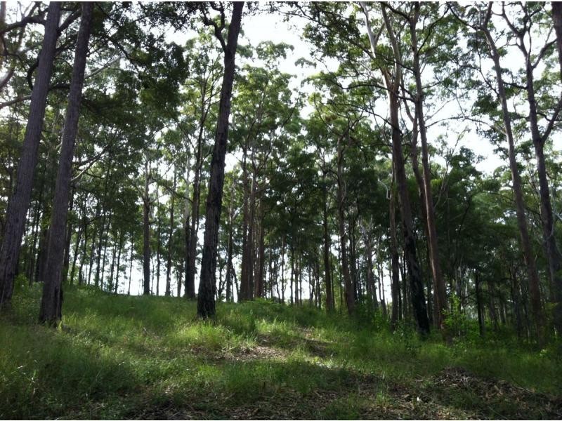 Verrierdale QLD 4562