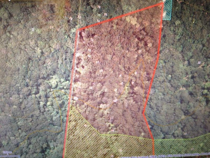 Verrierdale QLD 4562