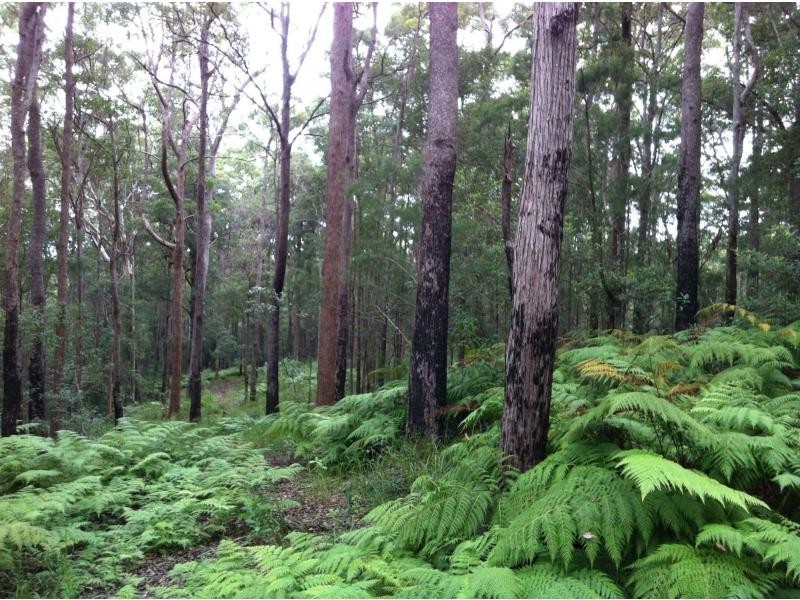 Verrierdale QLD 4562