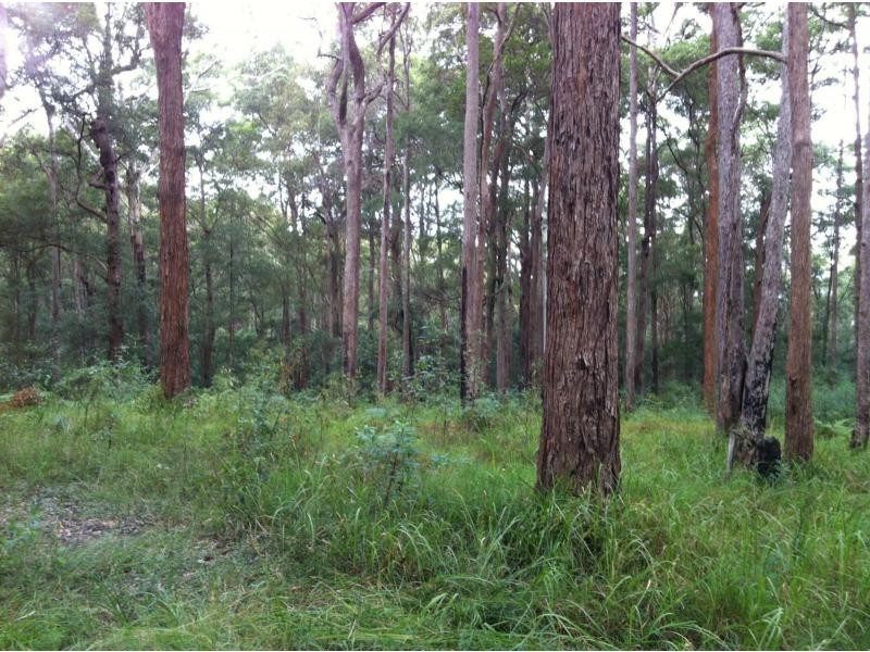 Verrierdale QLD 4562