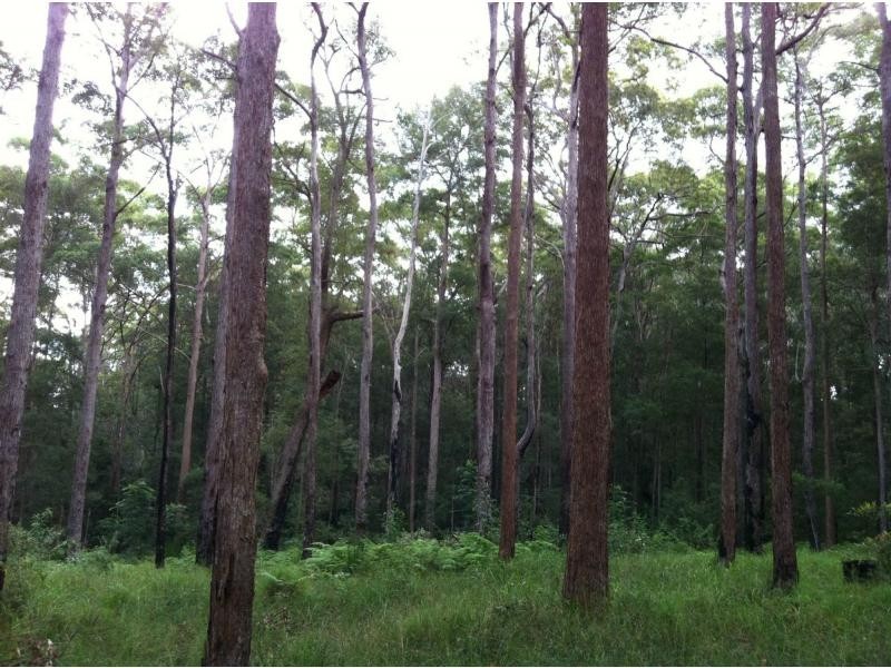 Verrierdale QLD 4562