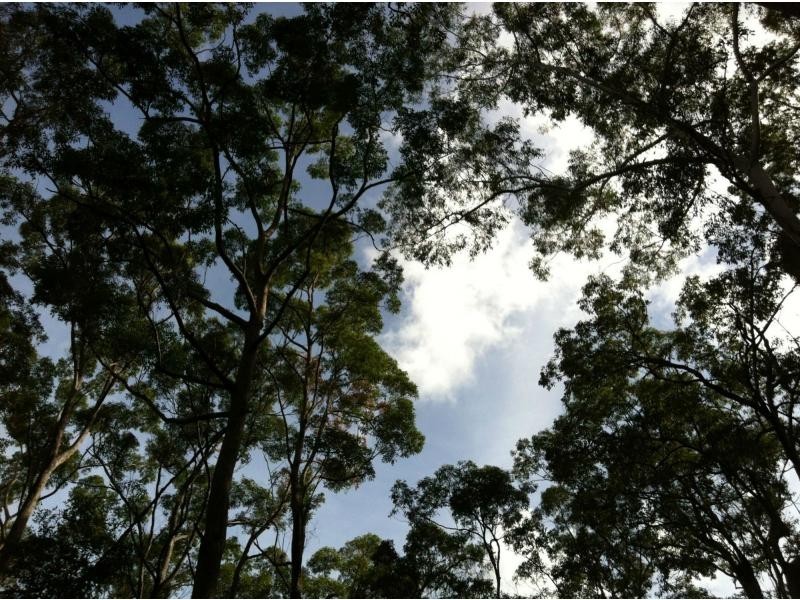 Verrierdale QLD 4562