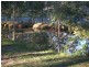Doonan QLD 4562