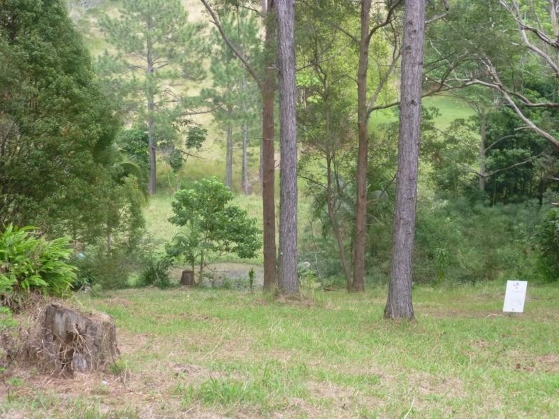 Eumundi QLD 4562