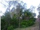 Eumundi QLD 4562