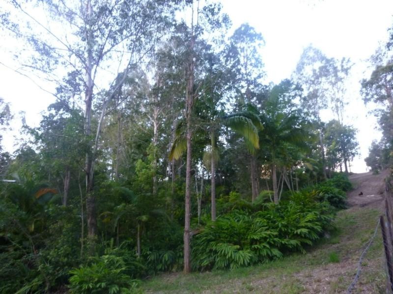 Eumundi QLD 4562