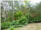 Eumundi QLD 4562