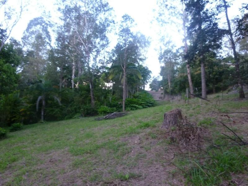 Eumundi QLD 4562