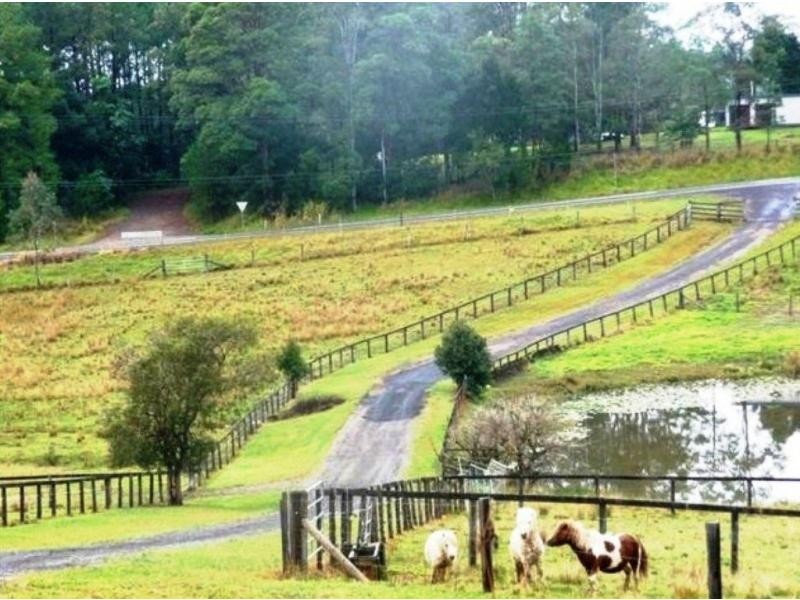 Eumundi QLD 4562