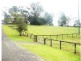 Eumundi QLD 4562