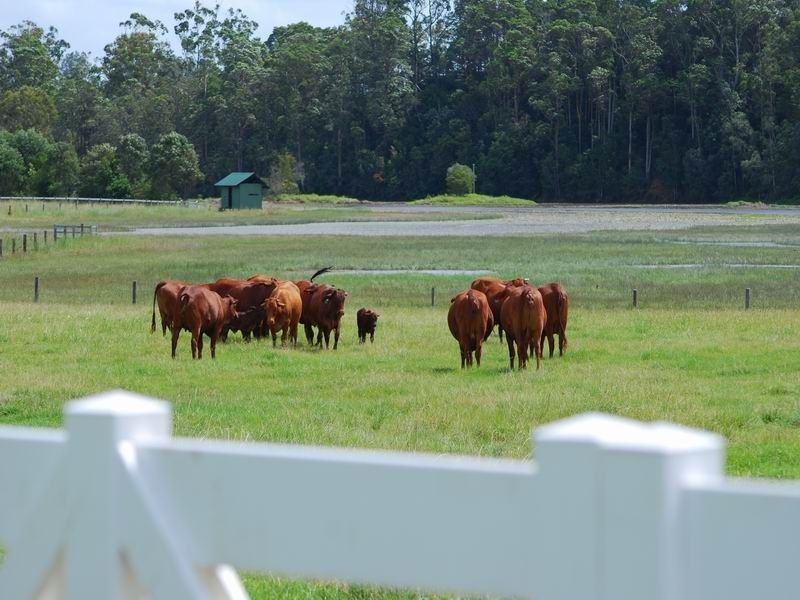Tinbeerwah QLD 4563