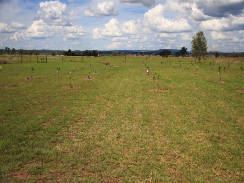 38 McConnel Way, Mondure QLD 4611