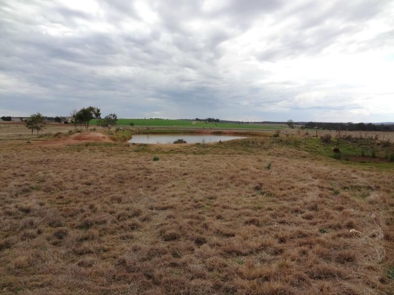 240 Magnussens Road, Cushnie QLD 4608