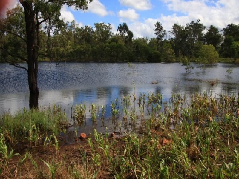 491 Kawl Kawl Road, Mondure QLD 4611