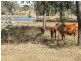 137 Pointons Road, Kingaroy QLD 4610
